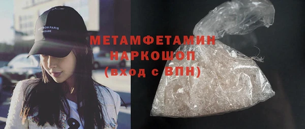 гашик Алексин