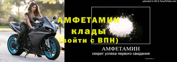 гидра Арсеньев