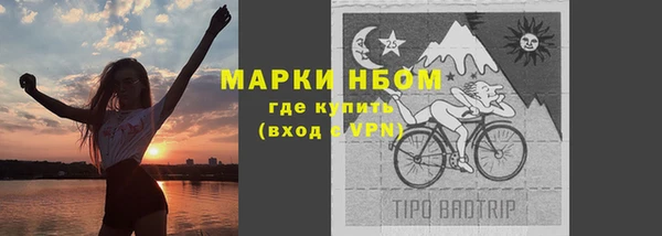 гидра Арсеньев
