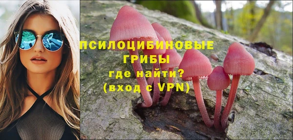 спайс Аркадак