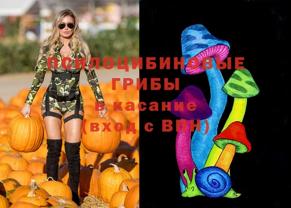 альфа пвп Армянск