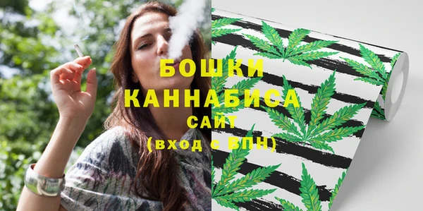 гидра Арсеньев