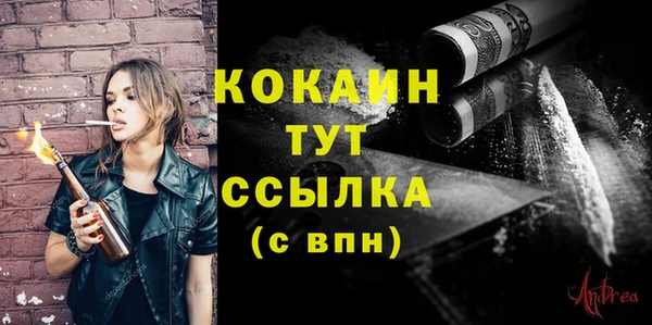 молекула духа Семилуки