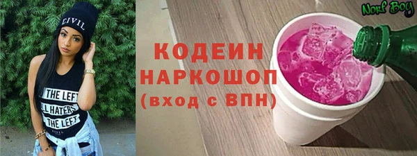 гидра Арсеньев