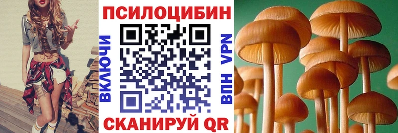 Галлюциногенные грибы мицелий  где купить наркотик  Тара 